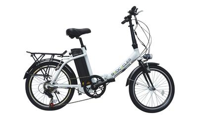 Byocycle chameleon store fdxl electric bike