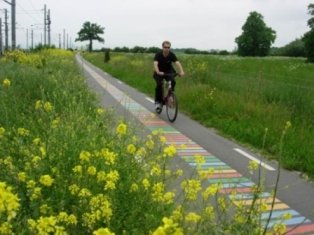 Man climbing the hill on an electric bike